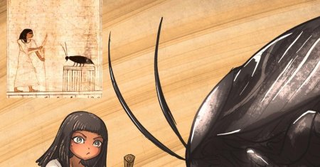 Таракан насекомое