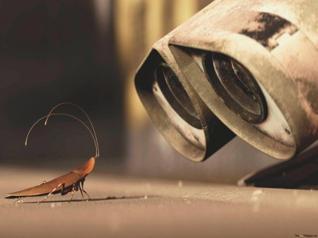 Мультик валли с тараканом