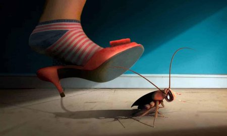 Таракан в доме