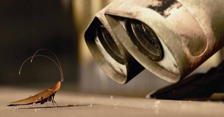 Валли мультфильм таракан