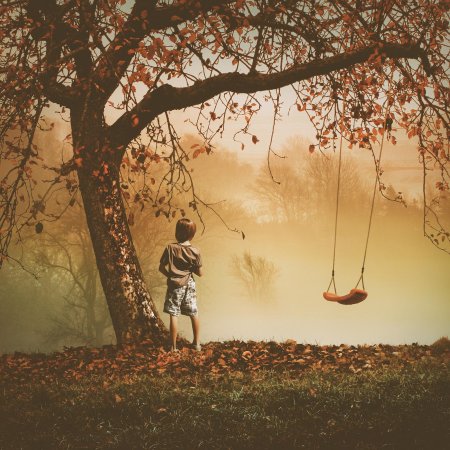 Качели на дереве