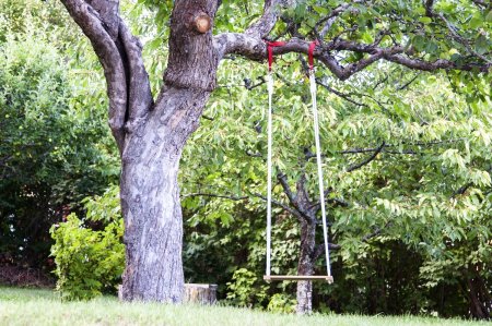 Качели между деревьями