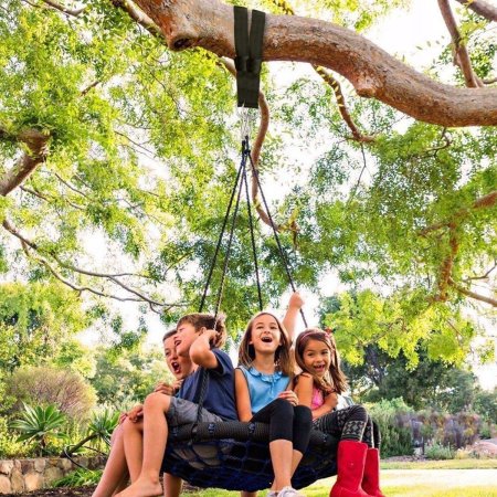 Качели на дереве