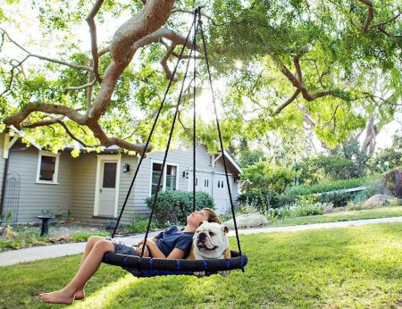 Качели на дереве