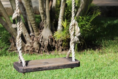 Качели на дереве