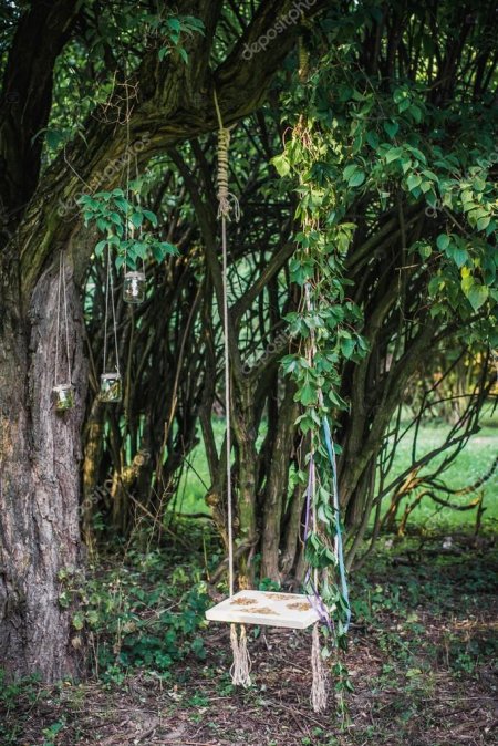 Качели на дереве