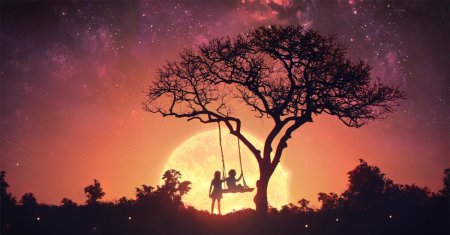 Дерево на закате