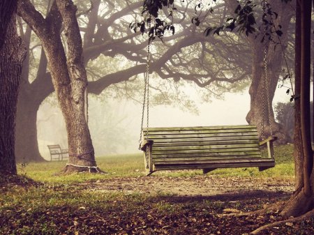 Качели на дереве