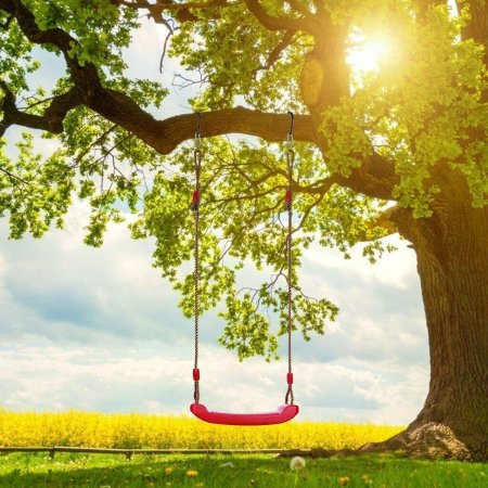 Качели на дереве