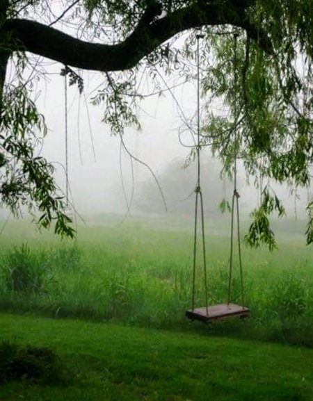 Качели на дереве