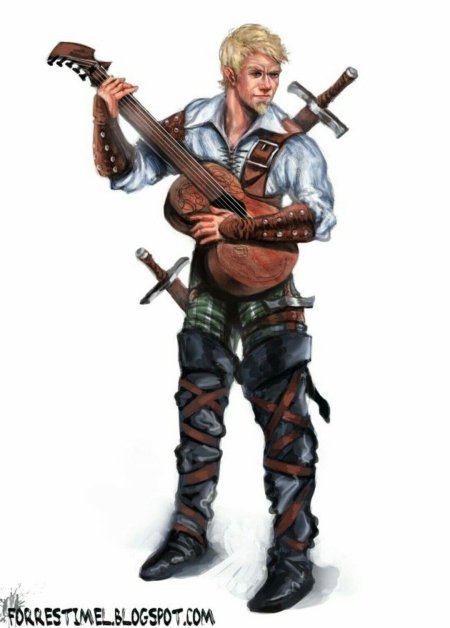 Полуэльф бард