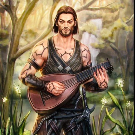 Полуэльф бард днд