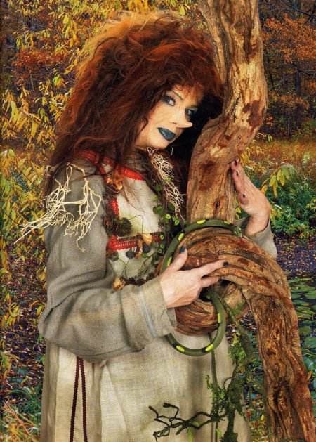 Кикимора кикимора болотная