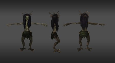 Кикимора кикимора