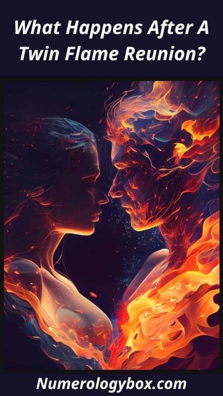 Twin flame love