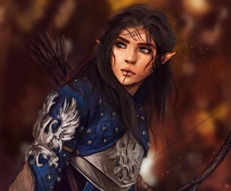 Dragon age grey warden