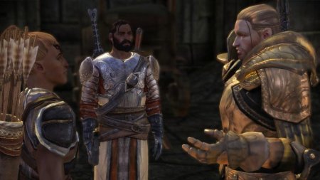 Драгон эйдж серые стражи