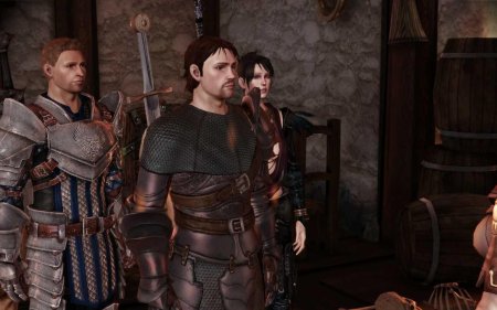 Серый страж кусланд