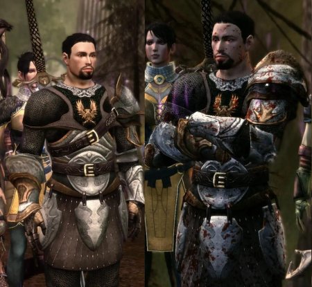 Драгон эйдж ориджин серый страж