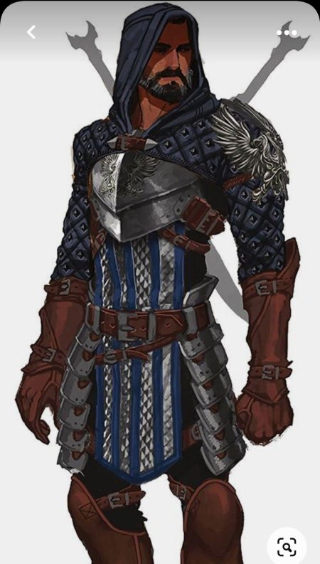Dragon age grey warden armor