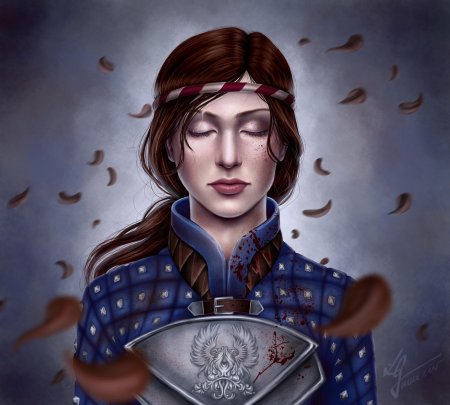 Серый страж кусланд