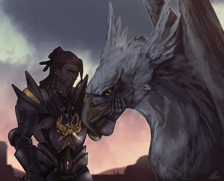 Dragon age серые стражи арт