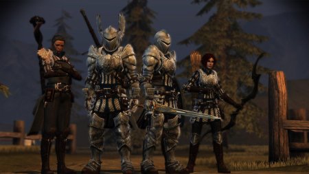 Dragon age inquisition grey warden armor