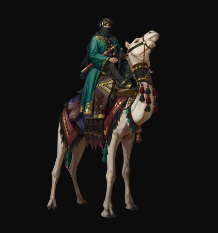 Всадник на верблюде