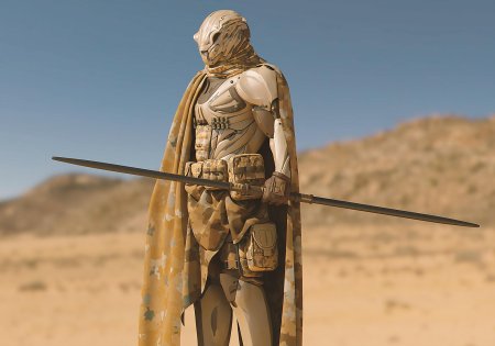 Пустынный воин