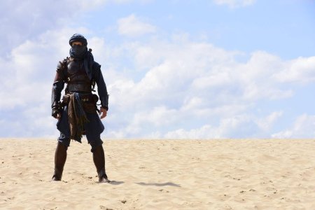 Арабский воин сарацин