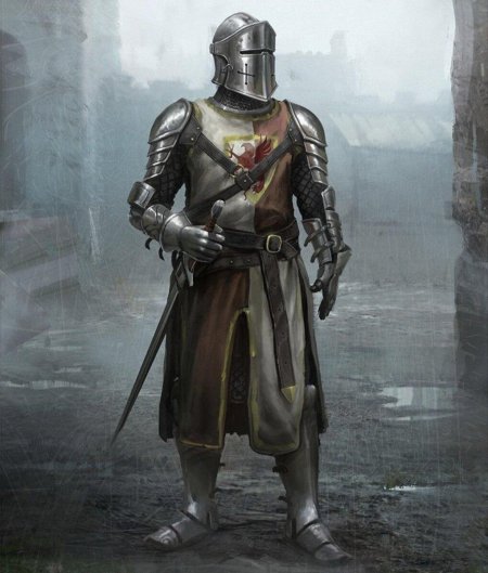 Средневековые рыцари