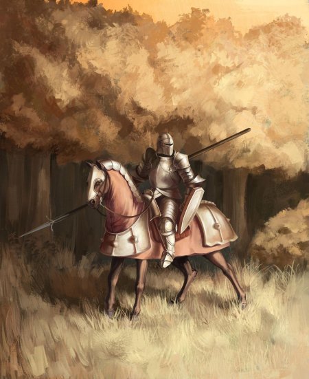Рыцари средневековья