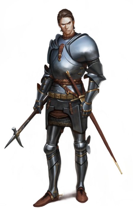 Рыцарь паладин