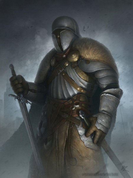 Паладин странствующий рыцарь