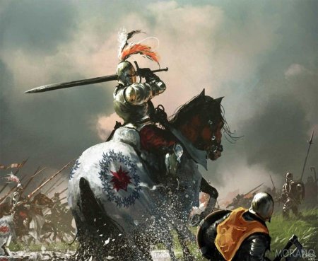 Рыцарь в бою