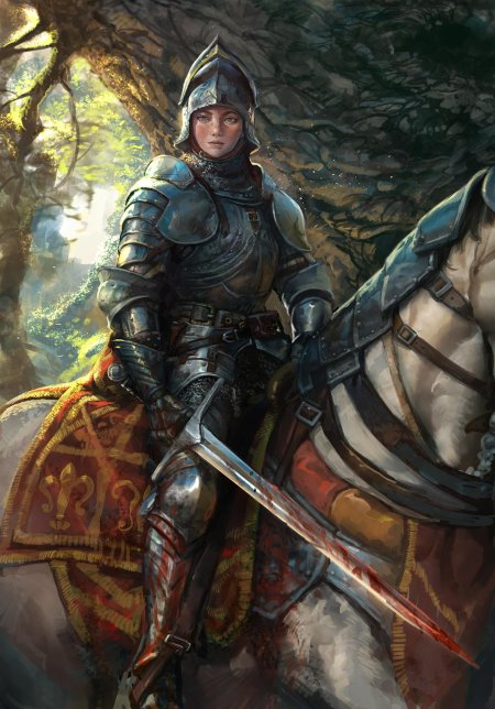 Паладин странствующий рыцарь