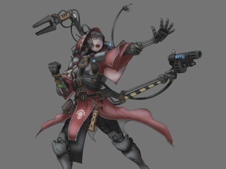 Механикус скитарии