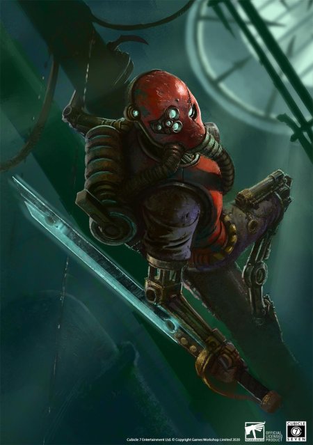 Скитарии ржаволовчие