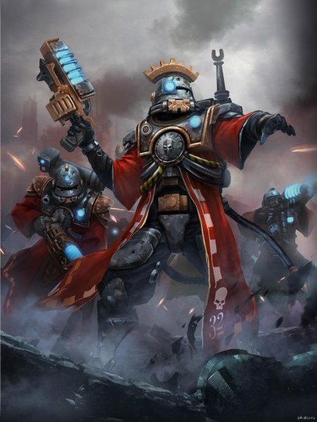 Механикус скитарии