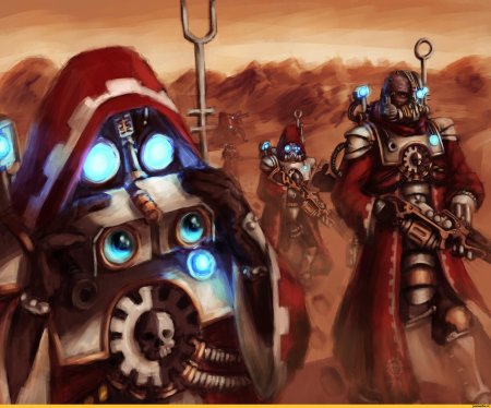 Механикус скитарии