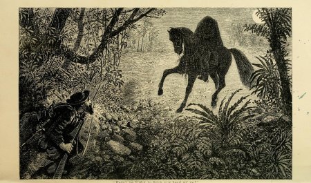 Всадник без головы майн рид иллюстрации