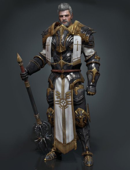 Рыцарь паладин броня арт