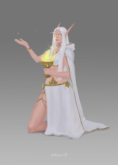 Эльфийка жрец