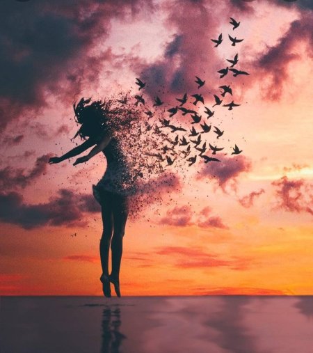 Девушка птица