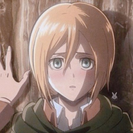 Хистория рейсс