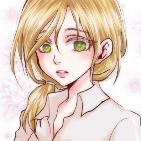 Хистория рейсс