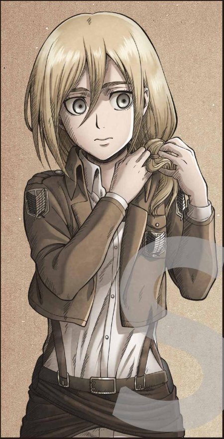 Хистория рейсс