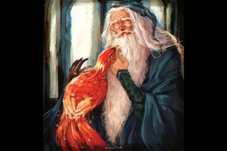 Гарри поттер дамблдор фоукс