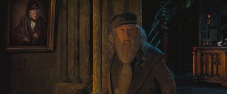 Майкл гэмбон гарри поттер