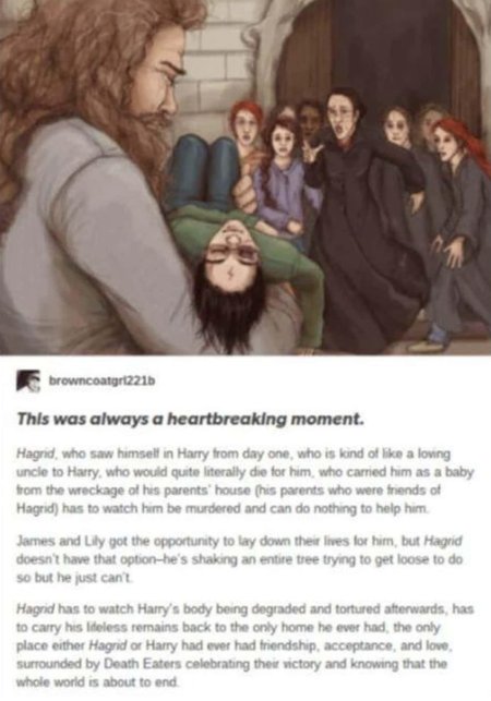 Гарри поттер хагрид и гермиона